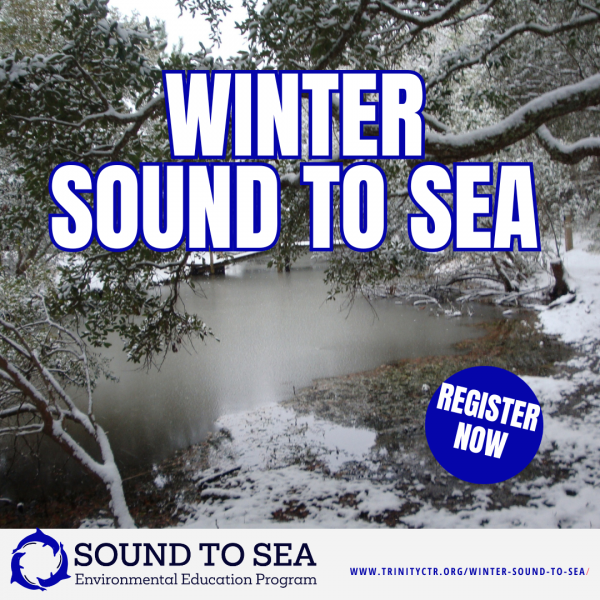 Winter Sound to Sea Day Camp Registration